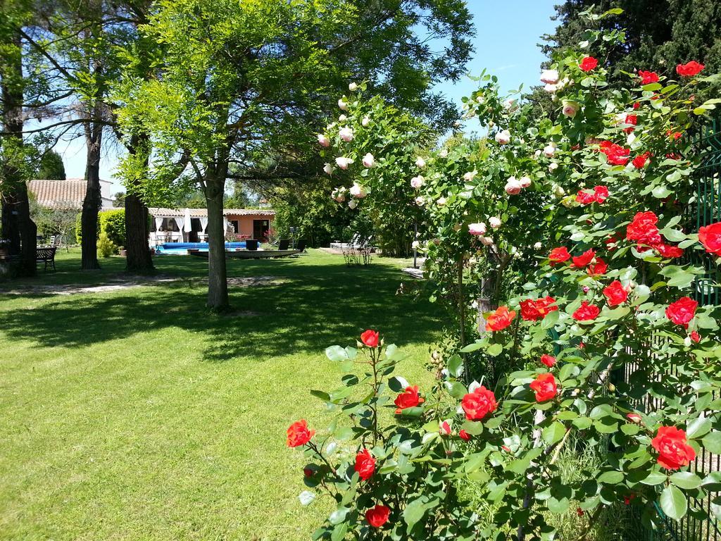 Bed and Breakfast Mas la Provence LʼIsle-sur-la-Sorgue Exterior foto