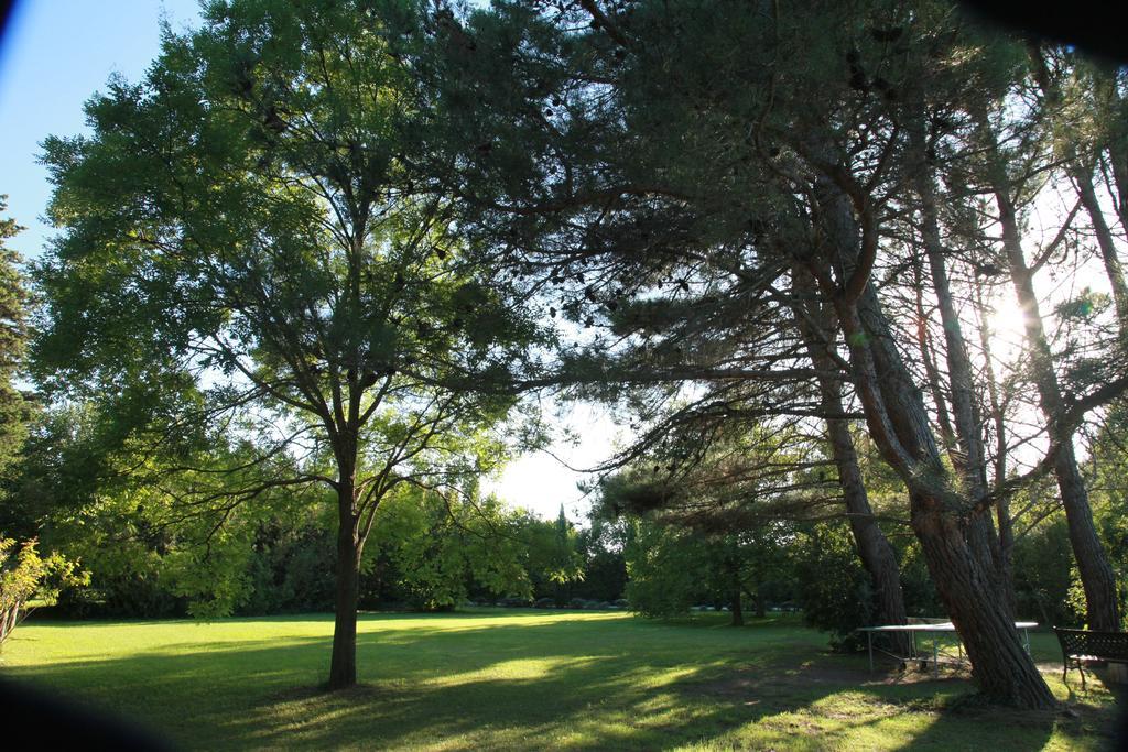 Bed and Breakfast Mas la Provence LʼIsle-sur-la-Sorgue Exterior foto